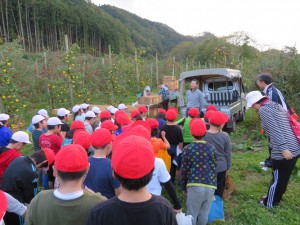 10月24日　3年生リンゴ収穫体験